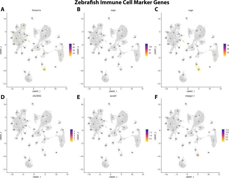 https://cdn.ncbi.nlm.nih.gov/pmc/blobs/19fb/11790252/e1103ed90814/elife-97764-fig2-figsupp19.jpg
