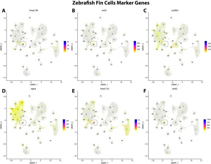 https://cdn.ncbi.nlm.nih.gov/pmc/blobs/19fb/11790252/e1cdf8ac661b/elife-97764-fig2-figsupp11.jpg