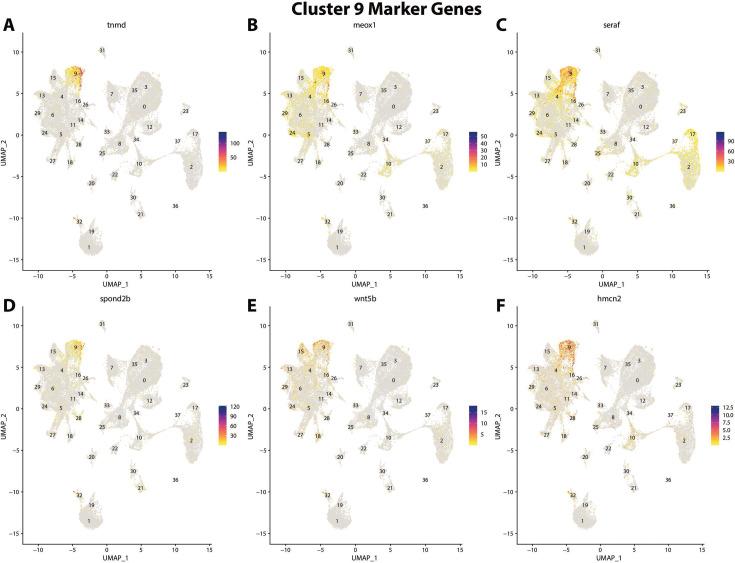 https://cdn.ncbi.nlm.nih.gov/pmc/blobs/19fb/11790252/e78010365fb8/elife-97764-fig2-figsupp31.jpg