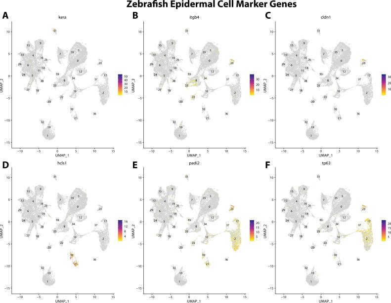 https://cdn.ncbi.nlm.nih.gov/pmc/blobs/19fb/11790252/ea84cdaf89e4/elife-97764-fig2-figsupp17.jpg
