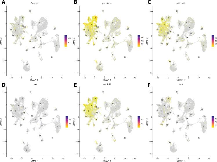 https://cdn.ncbi.nlm.nih.gov/pmc/blobs/19fb/11790252/ea9f8948f82b/elife-97764-fig2-figsupp13.jpg