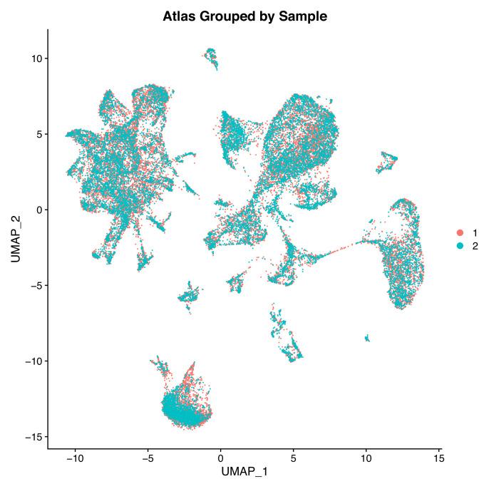 https://cdn.ncbi.nlm.nih.gov/pmc/blobs/19fb/11790252/f03d25798cad/elife-97764-fig2-figsupp1.jpg