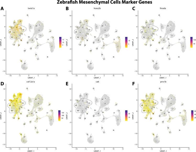 https://cdn.ncbi.nlm.nih.gov/pmc/blobs/19fb/11790252/ffde201167fc/elife-97764-fig2-figsupp12.jpg