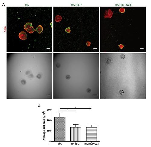 https://cdn.ncbi.nlm.nih.gov/pmc/blobs/19fb/5460375/95101669d935/ejh-61-2-2783-g005.jpg