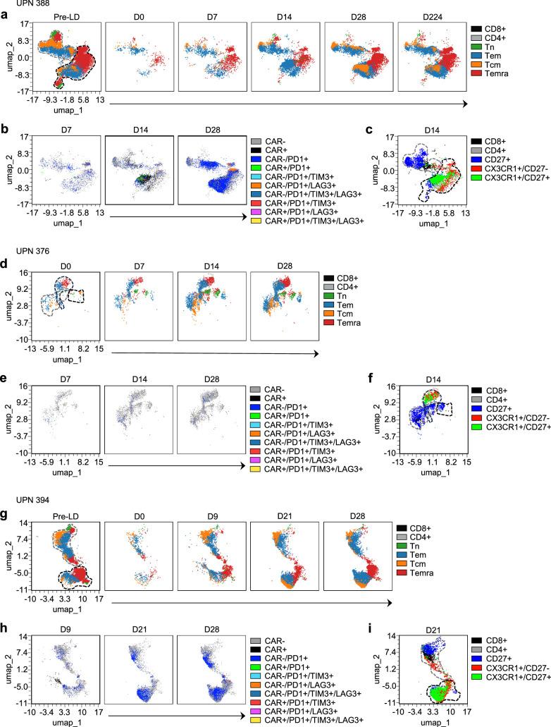 https://cdn.ncbi.nlm.nih.gov/pmc/blobs/19fc/11186768/c9675f1188d1/41591_2024_2979_Fig10_ESM.jpg