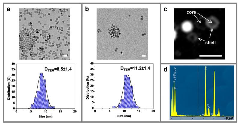 https://cdn.ncbi.nlm.nih.gov/pmc/blobs/19fc/7279505/18a15b96862d/nanomaterials-10-00907-g003.jpg