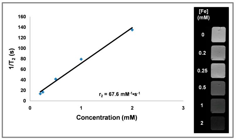 https://cdn.ncbi.nlm.nih.gov/pmc/blobs/19fc/7279505/acc16dc19f84/nanomaterials-10-00907-g006.jpg