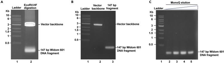 https://cdn.ncbi.nlm.nih.gov/pmc/blobs/1a01/11408276/f747982edd4d/gr1.jpg