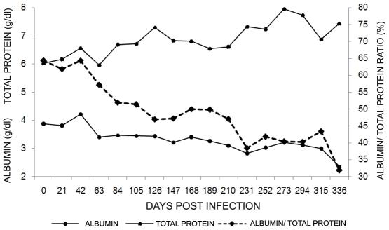 https://cdn.ncbi.nlm.nih.gov/pmc/blobs/1a01/2814861/aec36b88b45d/pntd.0000589.g003.jpg