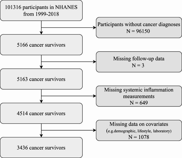 https://cdn.ncbi.nlm.nih.gov/pmc/blobs/1a02/12271561/a90f2308af8b/12672_2025_3165_Fig1_HTML.jpg