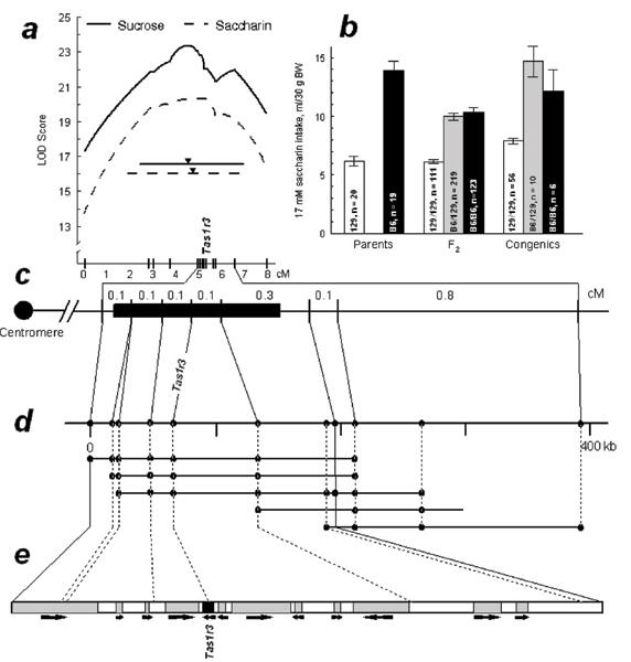 https://cdn.ncbi.nlm.nih.gov/pmc/blobs/1a03/1995453/39c114cfc504/1471-2202-8-S3-S3-1.jpg