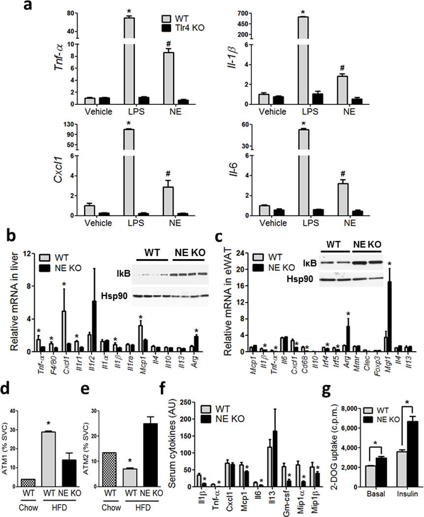 https://cdn.ncbi.nlm.nih.gov/pmc/blobs/1a04/3491143/1499baba41fd/nihms388091f4.jpg