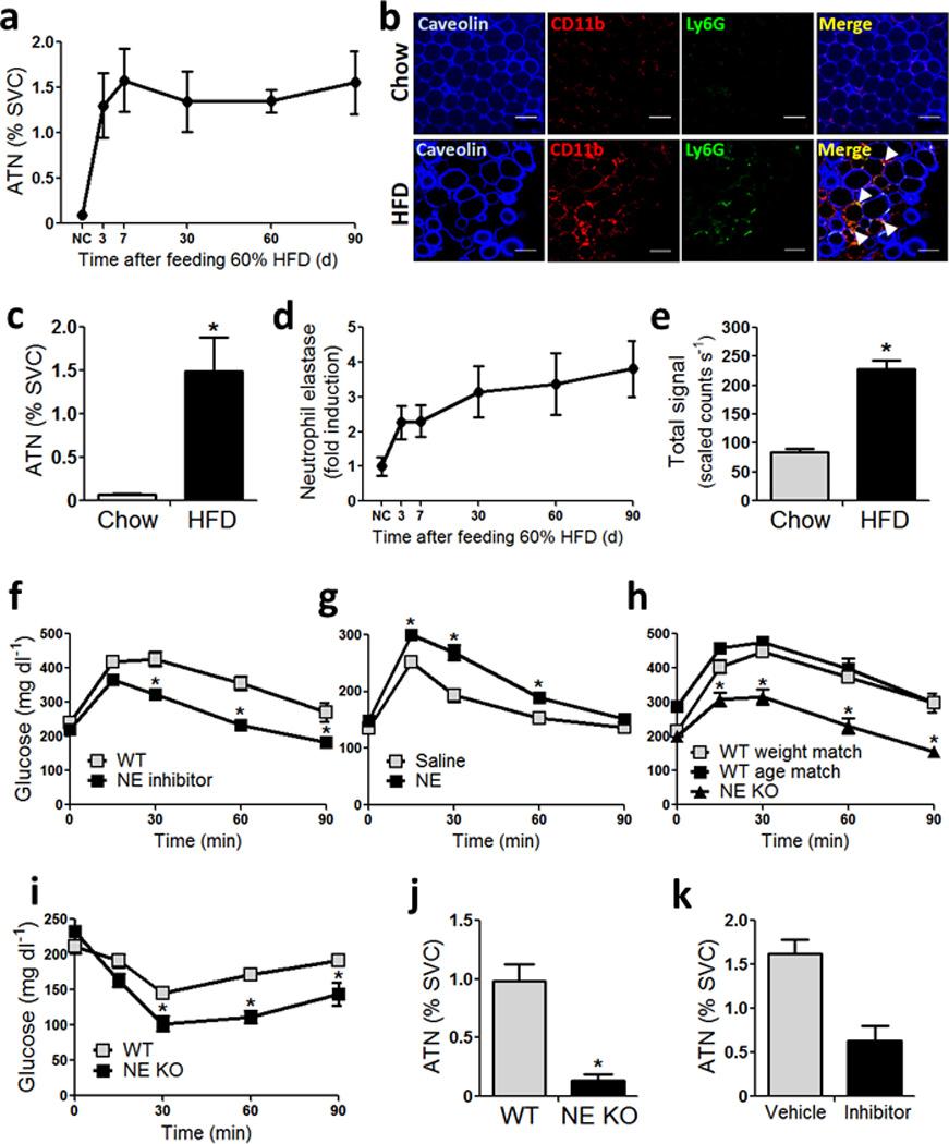 https://cdn.ncbi.nlm.nih.gov/pmc/blobs/1a04/3491143/69fd5436cb2f/nihms388091f1.jpg