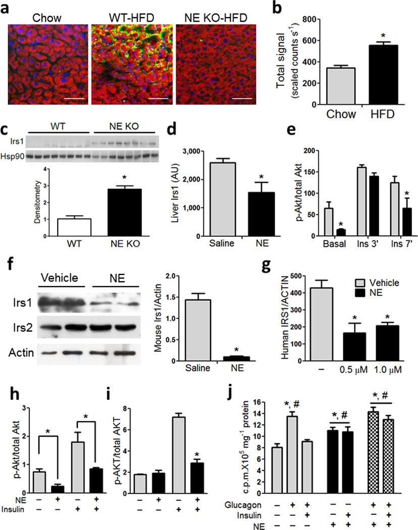 https://cdn.ncbi.nlm.nih.gov/pmc/blobs/1a04/3491143/99e169c28818/nihms388091f3.jpg