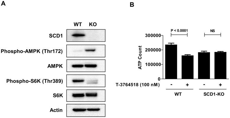 https://cdn.ncbi.nlm.nih.gov/pmc/blobs/1a07/5509324/3ec8a686ec8f/pone.0181243.g005.jpg