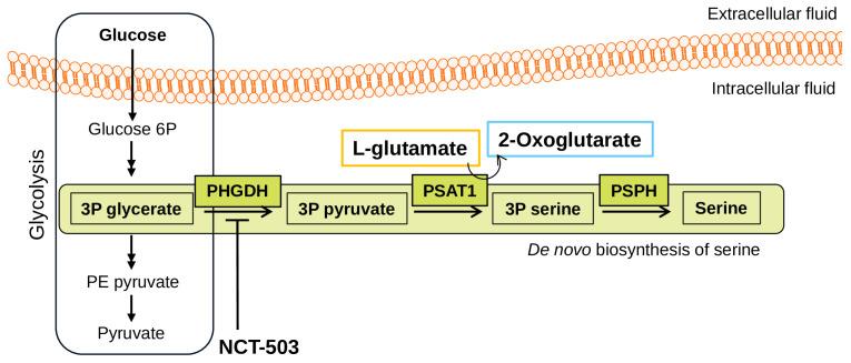 https://cdn.ncbi.nlm.nih.gov/pmc/blobs/1a08/11117597/d230d5119f64/biomedicines-12-01087-g001.jpg
