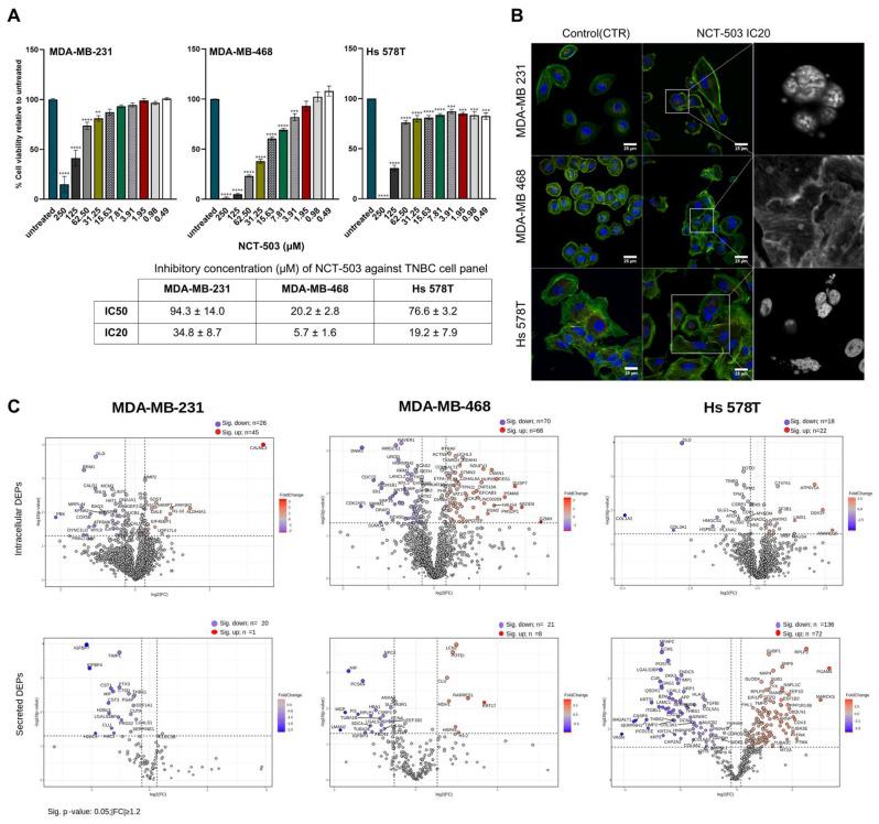 https://cdn.ncbi.nlm.nih.gov/pmc/blobs/1a08/11117597/d48ed5926c9b/biomedicines-12-01087-g002.jpg