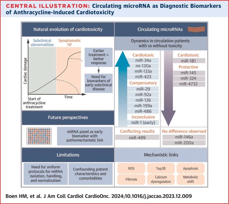 https://cdn.ncbi.nlm.nih.gov/pmc/blobs/1a0a/11103047/82a00483cf7d/ga1.jpg