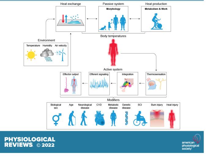 https://cdn.ncbi.nlm.nih.gov/pmc/blobs/1a0f/9394784/08d9ff696421/prv-00047-2021r01.jpg