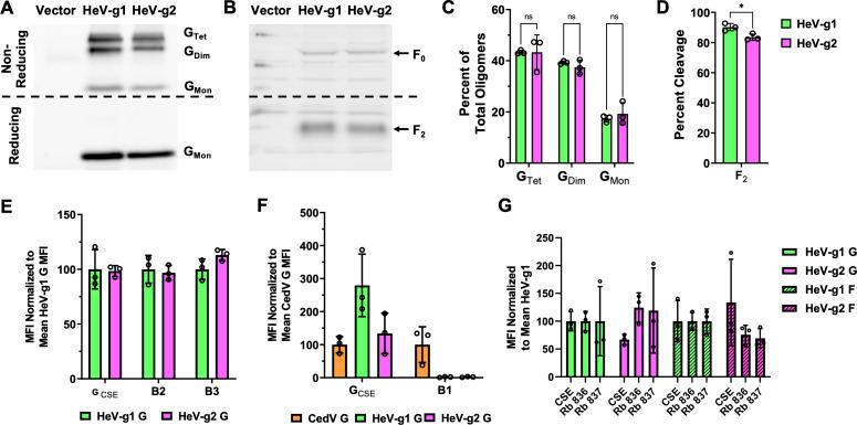 https://cdn.ncbi.nlm.nih.gov/pmc/blobs/1a12/11796360/36321f5d1b98/mbio.03482-23.f002.jpg