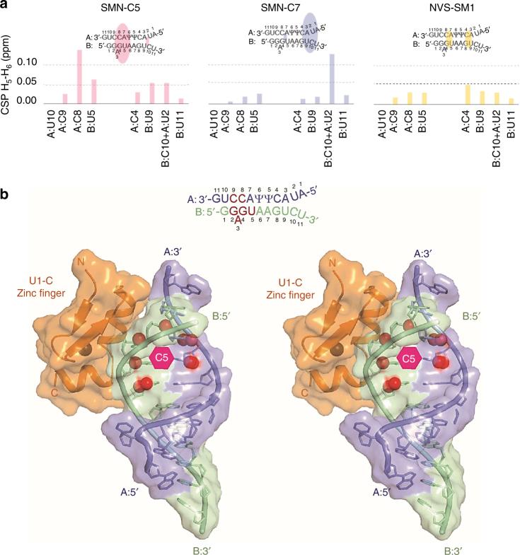 https://cdn.ncbi.nlm.nih.gov/pmc/blobs/1a12/5684323/58ff816bf7bc/41467_2017_1559_Fig2_HTML.jpg