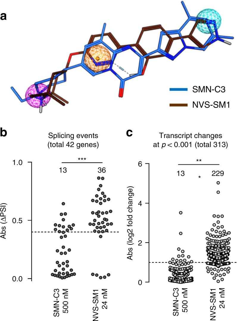 https://cdn.ncbi.nlm.nih.gov/pmc/blobs/1a12/5684323/ac3672bf1b04/41467_2017_1559_Fig3_HTML.jpg
