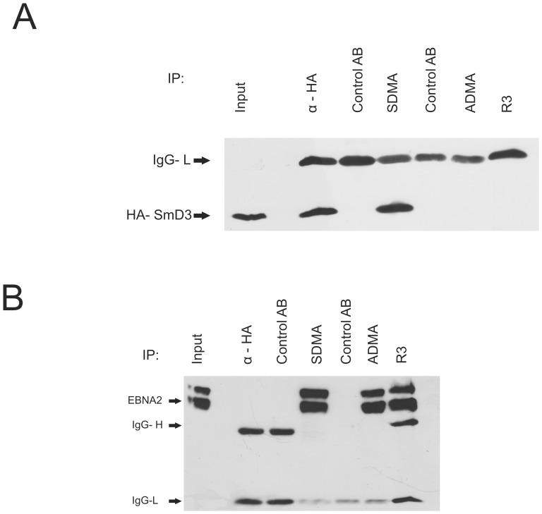 https://cdn.ncbi.nlm.nih.gov/pmc/blobs/1a13/3411732/308ac1fdcf30/pone.0042106.g002.jpg