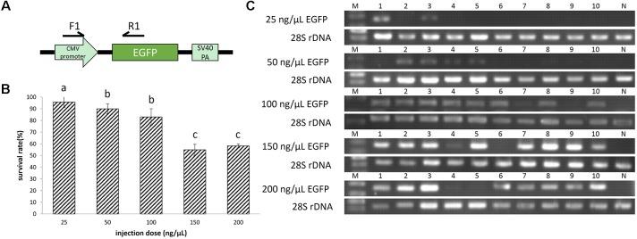 https://cdn.ncbi.nlm.nih.gov/pmc/blobs/1a13/5897424/8f3595b15ccd/fgene-09-00117-g001.jpg