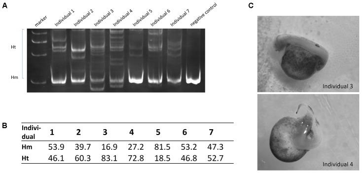 https://cdn.ncbi.nlm.nih.gov/pmc/blobs/1a13/5897424/afe5edf34818/fgene-09-00117-g006.jpg