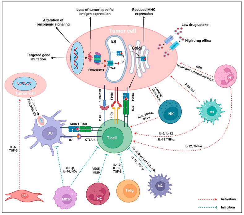 https://cdn.ncbi.nlm.nih.gov/pmc/blobs/1a14/11989189/acfdafd50a89/ijms-26-02923-g005.jpg