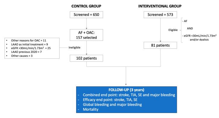 https://cdn.ncbi.nlm.nih.gov/pmc/blobs/1a14/12386536/ed818532d8f7/jcm-14-05709-g001.jpg