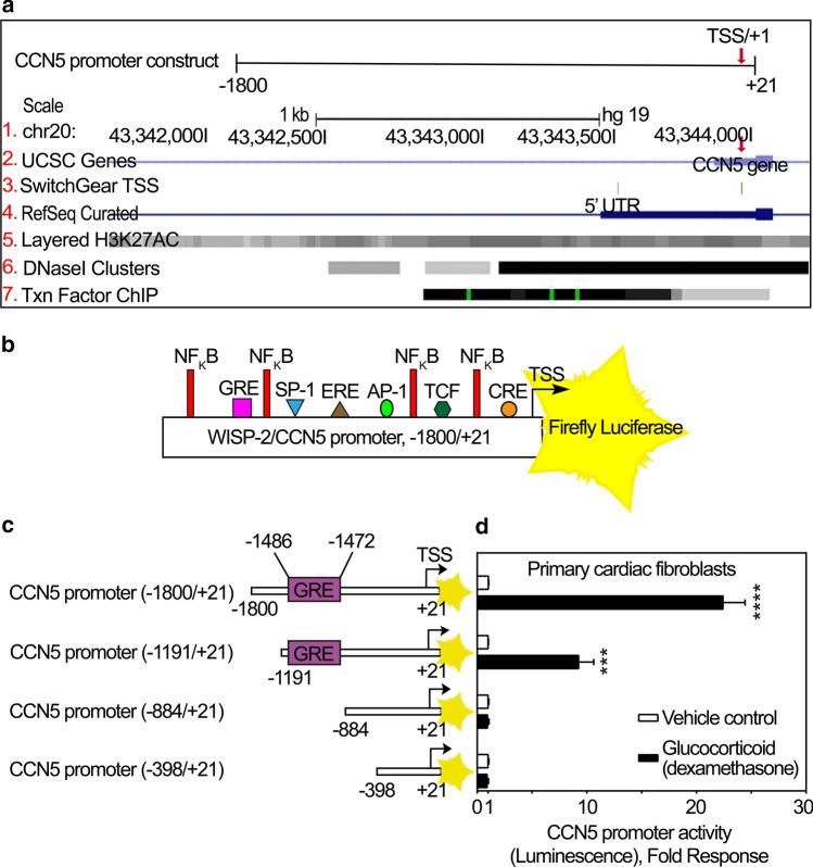 https://cdn.ncbi.nlm.nih.gov/pmc/blobs/1a16/9411331/404948ea186e/12079_2021_659_Fig3_HTML.jpg