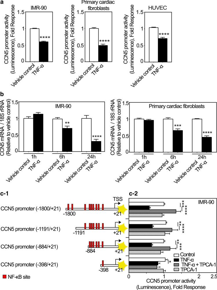 https://cdn.ncbi.nlm.nih.gov/pmc/blobs/1a16/9411331/658d73533ee8/12079_2021_659_Fig7_HTML.jpg