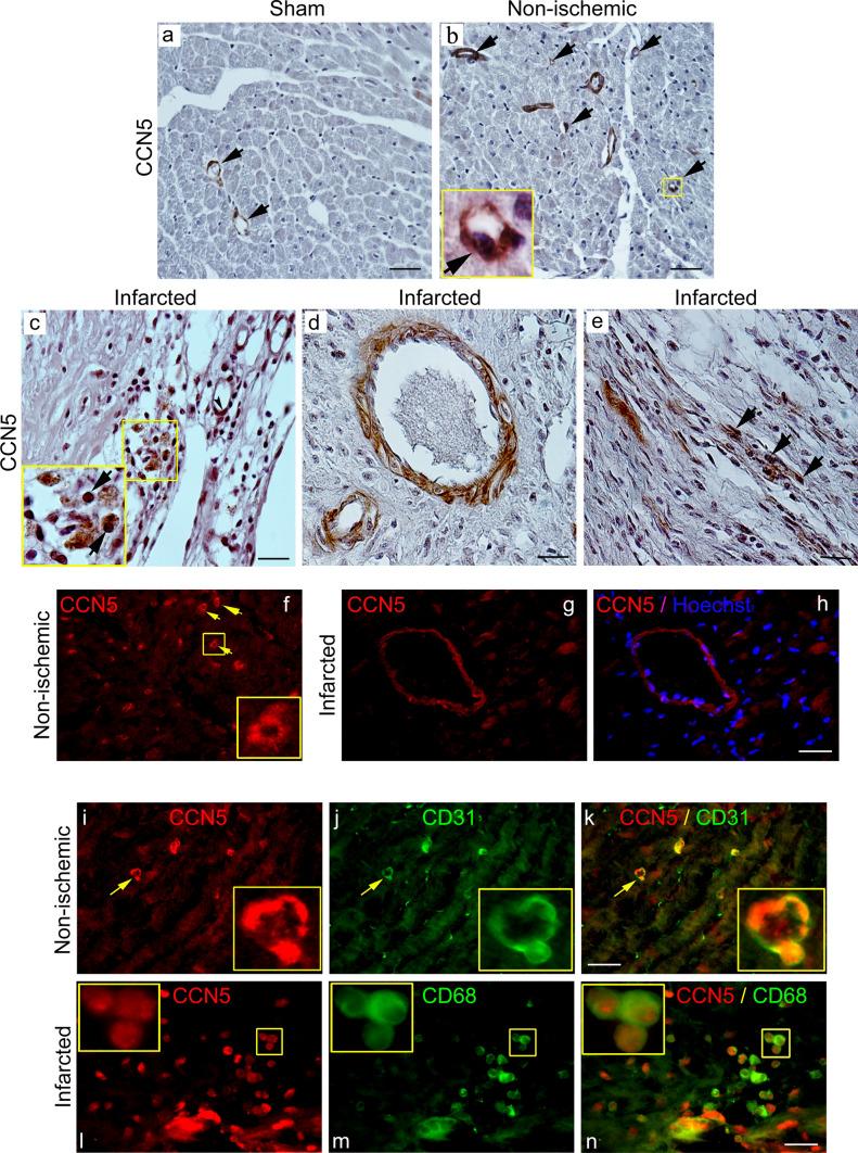 https://cdn.ncbi.nlm.nih.gov/pmc/blobs/1a16/9411331/85c6ff5513ee/12079_2021_659_Fig2_HTML.jpg