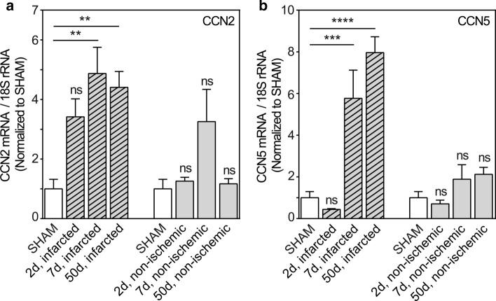 https://cdn.ncbi.nlm.nih.gov/pmc/blobs/1a16/9411331/a952e23e88ac/12079_2021_659_Fig1_HTML.jpg