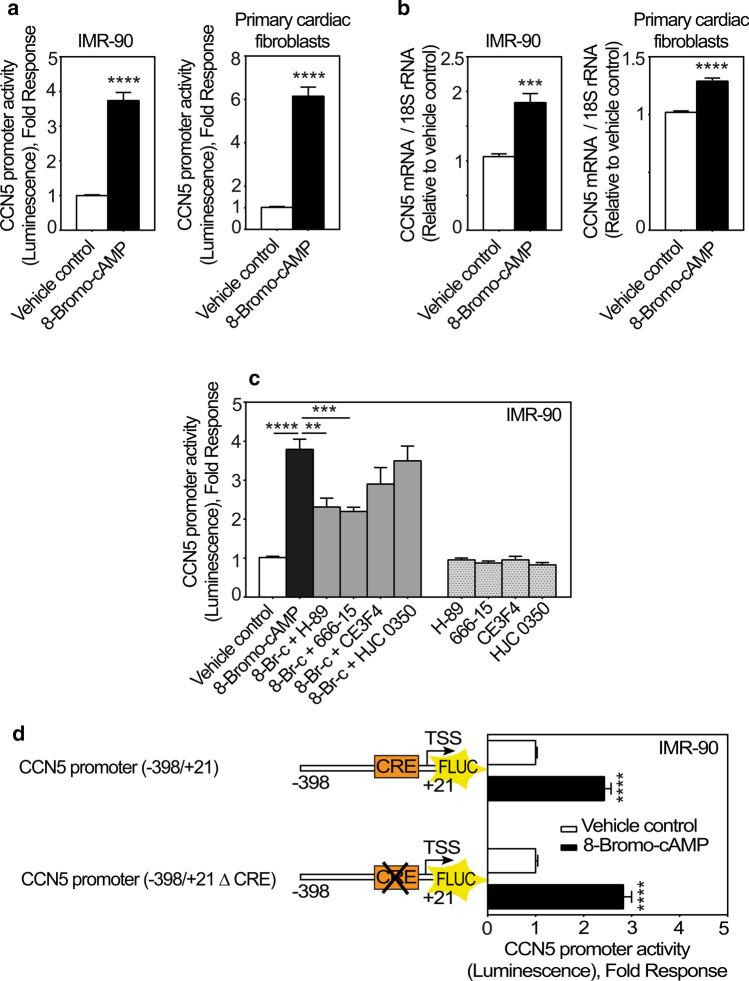 https://cdn.ncbi.nlm.nih.gov/pmc/blobs/1a16/9411331/d4ea47d38711/12079_2021_659_Fig5_HTML.jpg