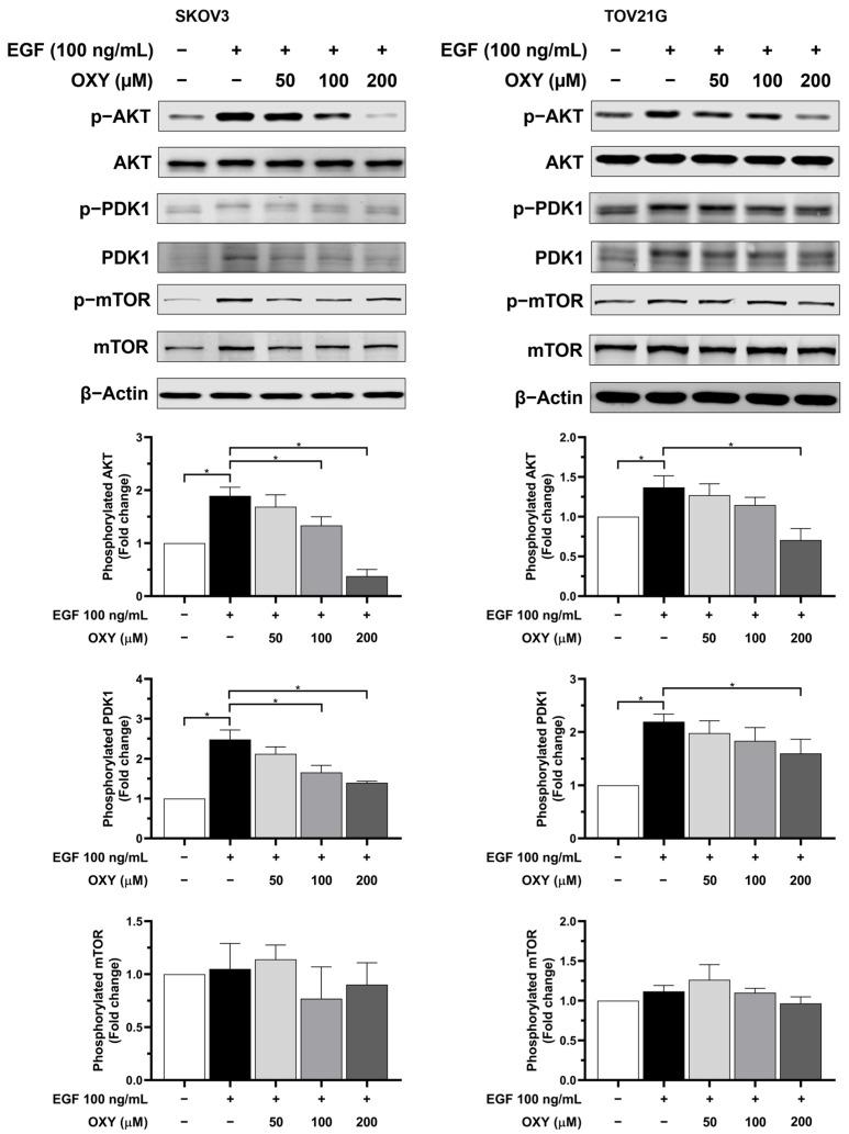https://cdn.ncbi.nlm.nih.gov/pmc/blobs/1a19/11430010/765e21bfa206/biomolecules-14-01140-g006.jpg