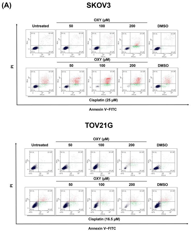 https://cdn.ncbi.nlm.nih.gov/pmc/blobs/1a19/11430010/77fbbb1bd6e9/biomolecules-14-01140-g002a.jpg