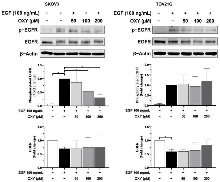 https://cdn.ncbi.nlm.nih.gov/pmc/blobs/1a19/11430010/9ad19dd3de47/biomolecules-14-01140-g005.jpg
