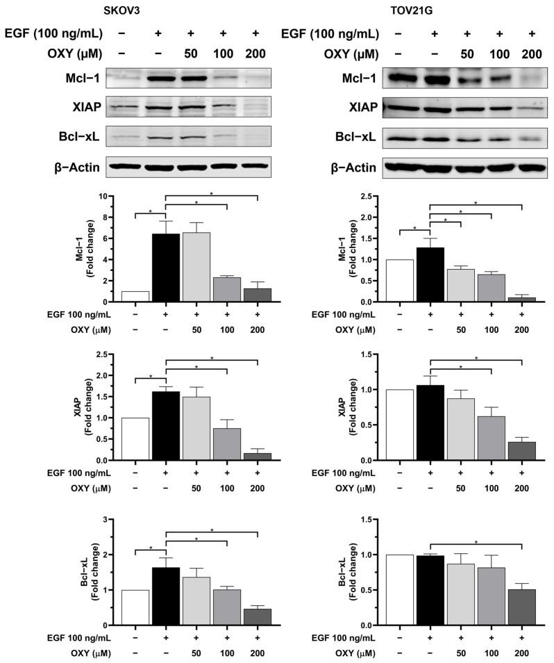 https://cdn.ncbi.nlm.nih.gov/pmc/blobs/1a19/11430010/d9c438642ea0/biomolecules-14-01140-g004.jpg