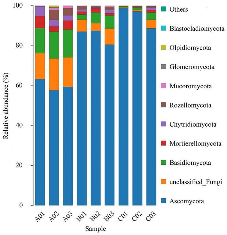 https://cdn.ncbi.nlm.nih.gov/pmc/blobs/1a1a/10803692/8a893deb74ea/13568_2024_1665_Fig2_HTML.jpg