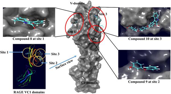 https://cdn.ncbi.nlm.nih.gov/pmc/blobs/1a1a/9542951/d01ed6a7da0f/DDR-83-1257-g003.jpg