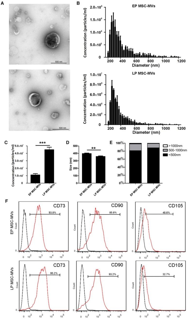 https://cdn.ncbi.nlm.nih.gov/pmc/blobs/1a1b/5558561/2a2beeb24174/thnov07p2673g003.jpg