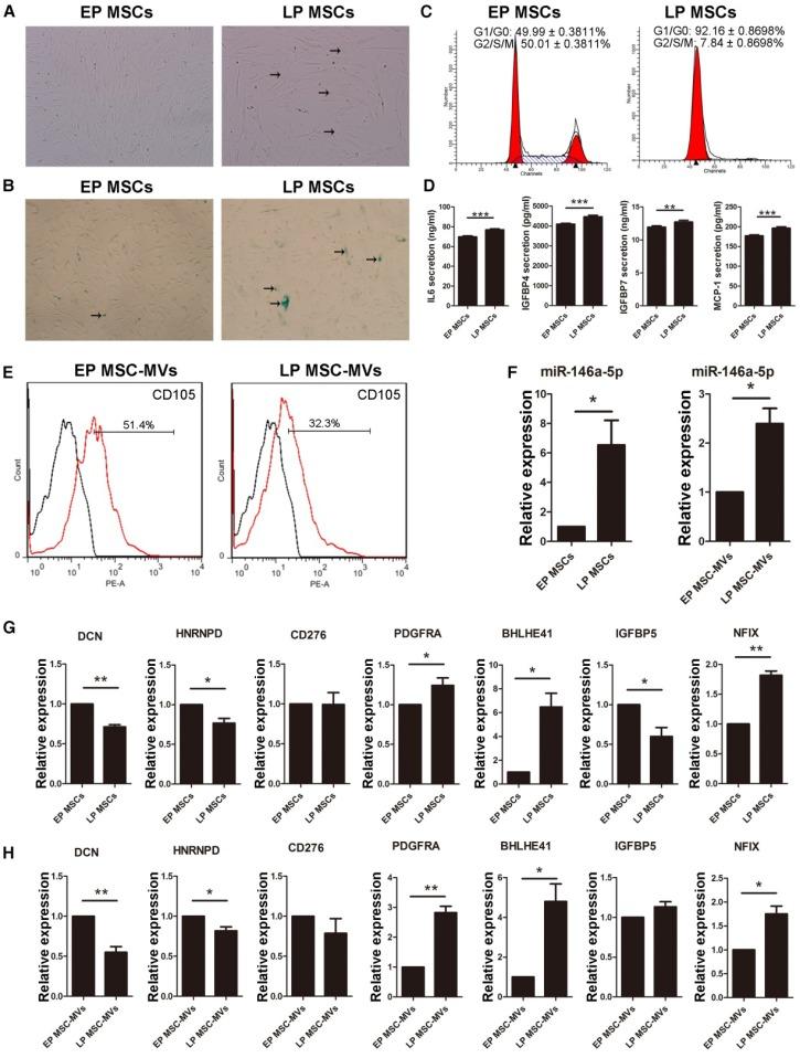 https://cdn.ncbi.nlm.nih.gov/pmc/blobs/1a1b/5558561/49aa7454bc21/thnov07p2673g008.jpg