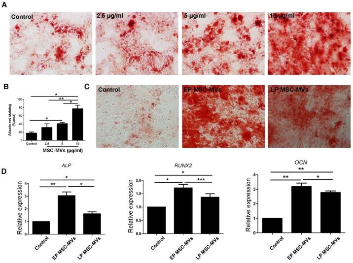 https://cdn.ncbi.nlm.nih.gov/pmc/blobs/1a1b/5558561/858efbf02e94/thnov07p2673g004.jpg