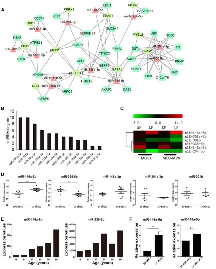 https://cdn.ncbi.nlm.nih.gov/pmc/blobs/1a1b/5558561/d2bb991351dd/thnov07p2673g006.jpg