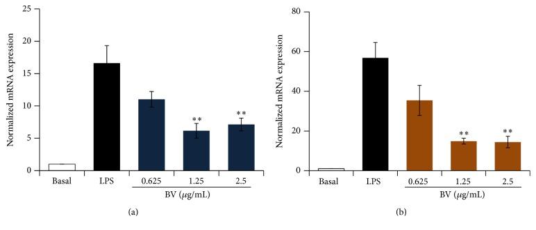 https://cdn.ncbi.nlm.nih.gov/pmc/blobs/1a1c/4987476/ce41db3f2548/ECAM2016-3704764.004.jpg