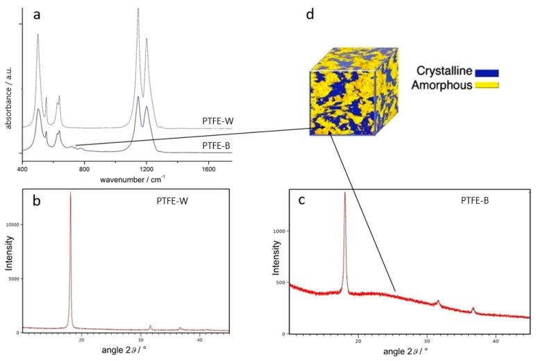 https://cdn.ncbi.nlm.nih.gov/pmc/blobs/1a1d/8949314/20c2fee5b527/ijms-23-02983-g001.jpg