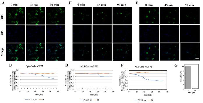 https://cdn.ncbi.nlm.nih.gov/pmc/blobs/1a1d/9909732/3832dcfad745/ac2c04255_0005.jpg