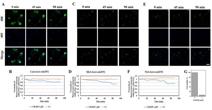 https://cdn.ncbi.nlm.nih.gov/pmc/blobs/1a1d/9909732/42d9202109e6/ac2c04255_0004.jpg